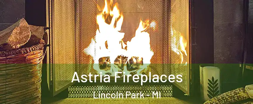  Astria Fireplaces Lincoln Park - MI