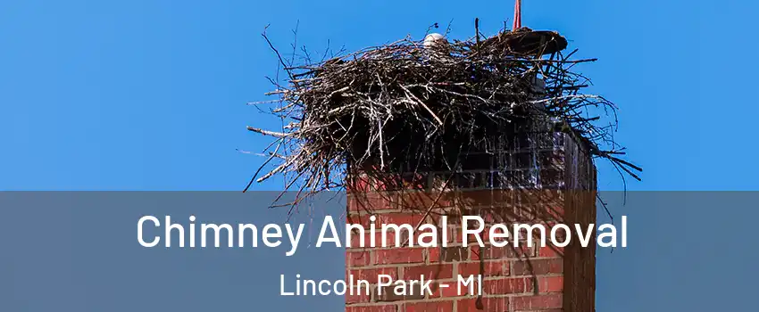 Chimney Animal Removal Lincoln Park - MI