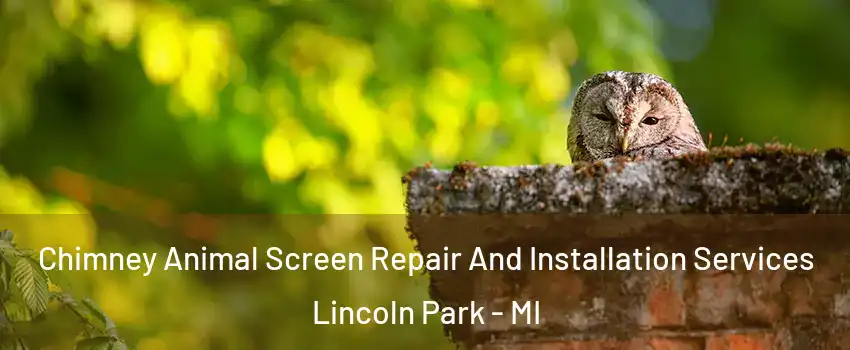  Chimney Animal Screen Repair And Installation Services Lincoln Park - MI
