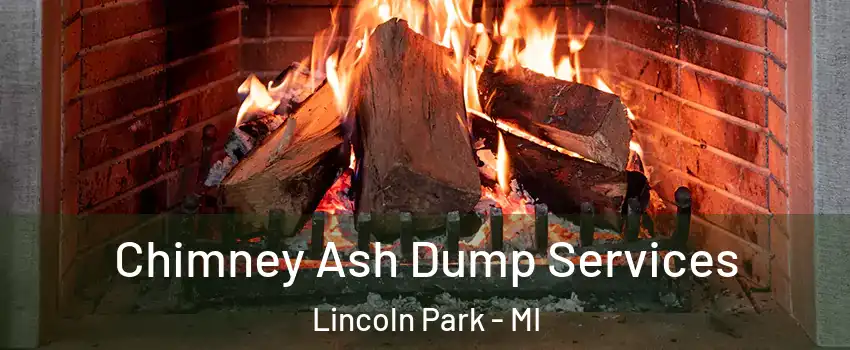  Chimney Ash Dump Services Lincoln Park - MI