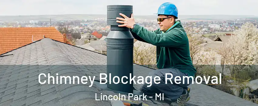  Chimney Blockage Removal Lincoln Park - MI