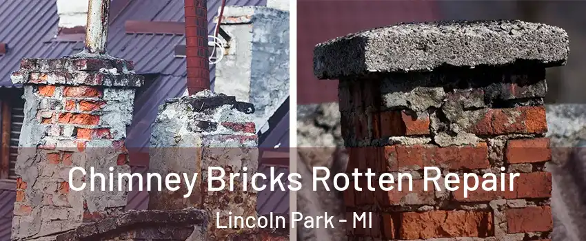  Chimney Bricks Rotten Repair Lincoln Park - MI