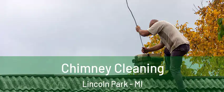  Chimney Cleaning Lincoln Park - MI