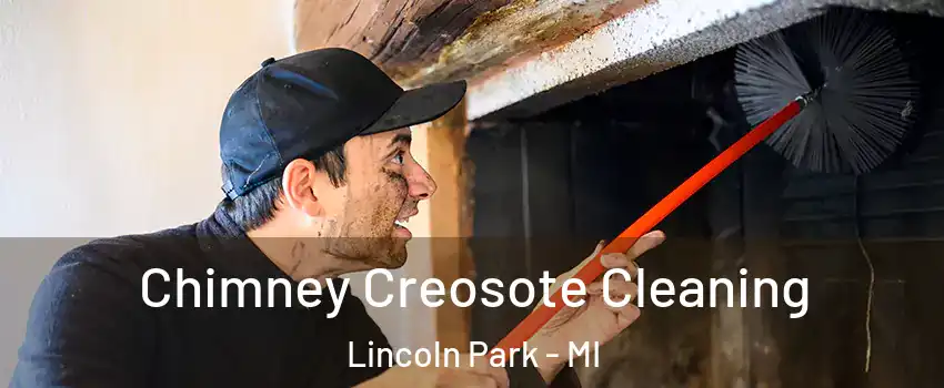  Chimney Creosote Cleaning Lincoln Park - MI