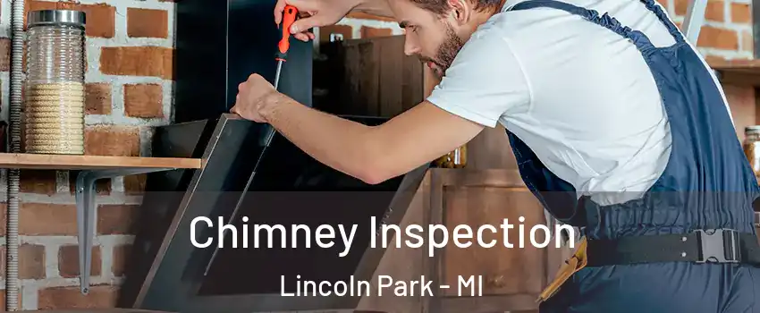  Chimney Inspection Lincoln Park - MI