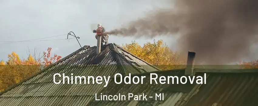  Chimney Odor Removal Lincoln Park - MI