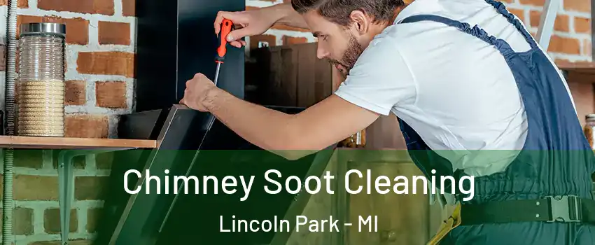  Chimney Soot Cleaning Lincoln Park - MI