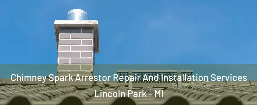  Chimney Spark Arrestor Repair And Installation Services Lincoln Park - MI