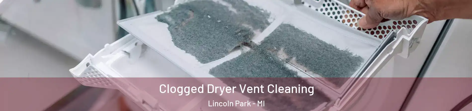  Clogged Dryer Vent Cleaning Lincoln Park - MI