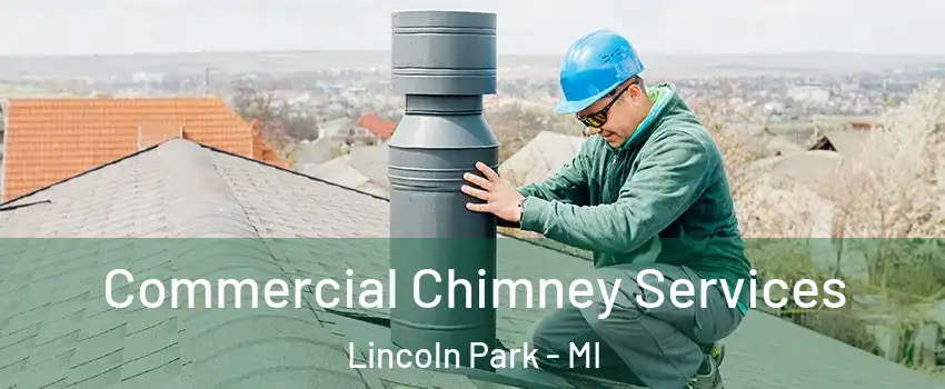  Commercial Chimney Services Lincoln Park - MI