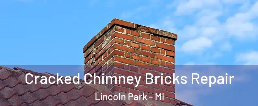  Cracked Chimney Bricks Repair Lincoln Park - MI