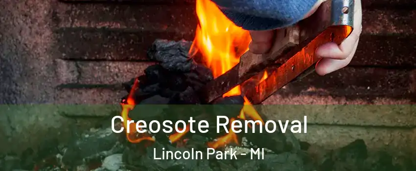  Creosote Removal Lincoln Park - MI