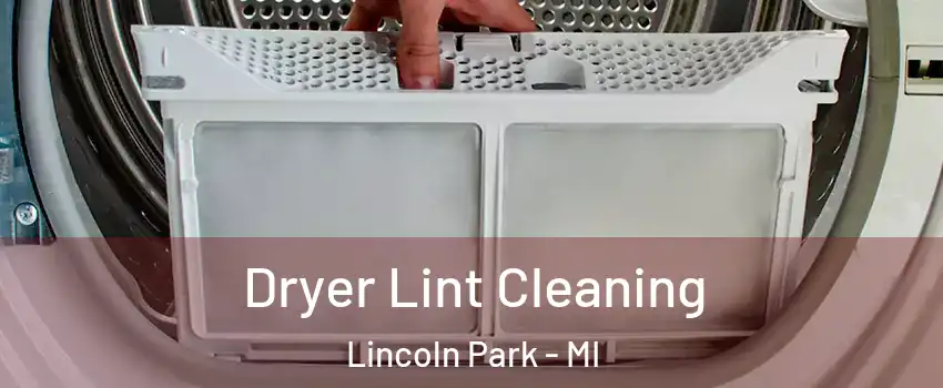 Dryer Lint Cleaning Lincoln Park - MI