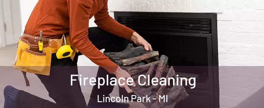 Fireplace Cleaning Lincoln Park - MI