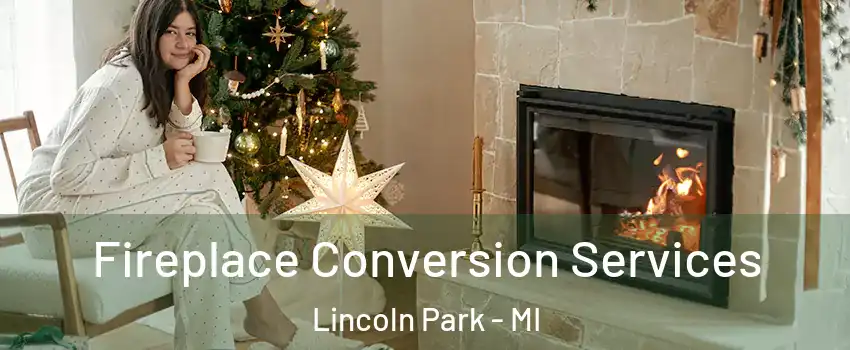  Fireplace Conversion Services Lincoln Park - MI