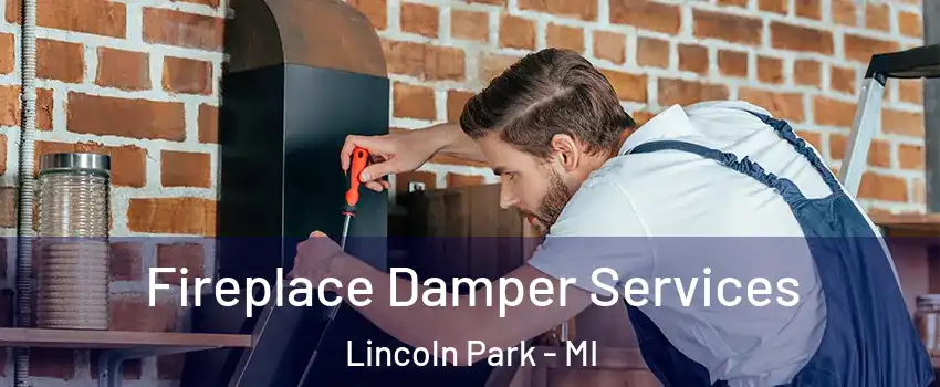  Fireplace Damper Services Lincoln Park - MI