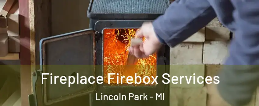  Fireplace Firebox Services Lincoln Park - MI