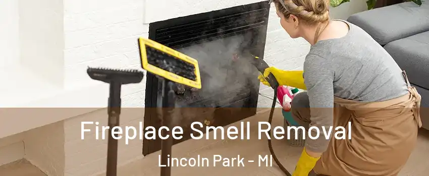  Fireplace Smell Removal Lincoln Park - MI