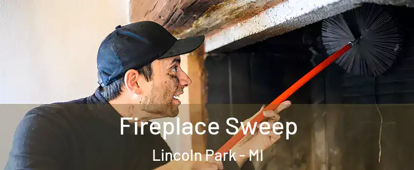  Fireplace Sweep Lincoln Park - MI