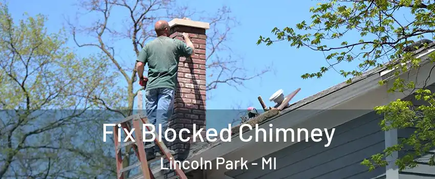  Fix Blocked Chimney Lincoln Park - MI