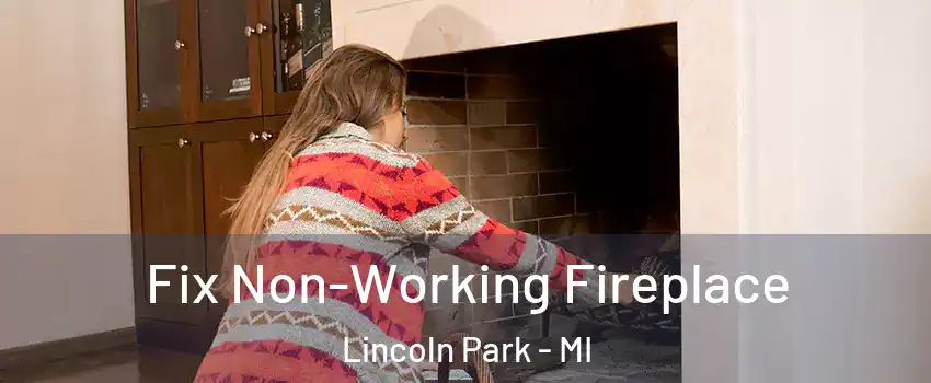 Fix Non-Working Fireplace Lincoln Park - MI