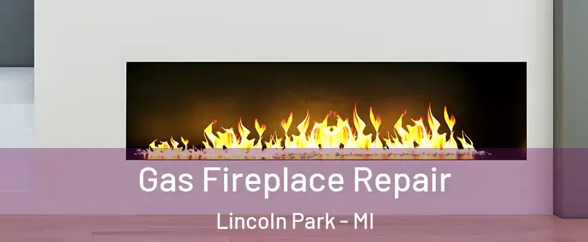  Gas Fireplace Repair Lincoln Park - MI