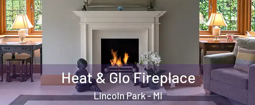  Heat & Glo Fireplace Lincoln Park - MI