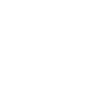 Professional Chimney Flue Installation in Lincoln Park, Michigan