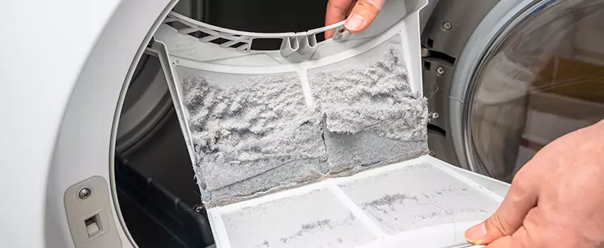 Best Dryer Lint Removal Company in Lincoln Park, Michigan