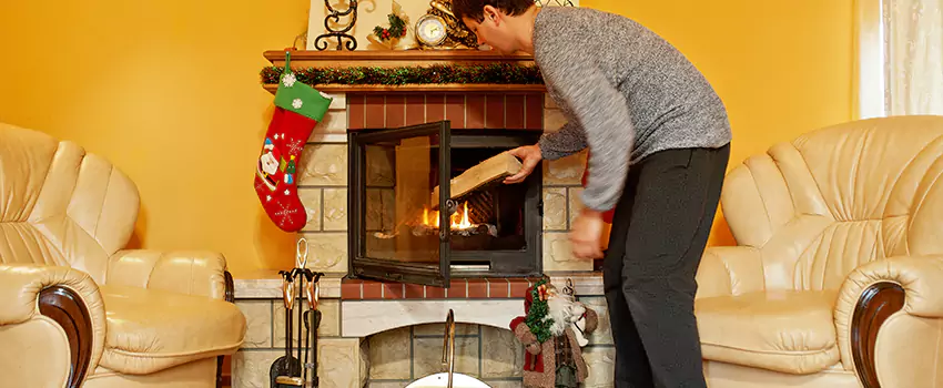 Gas to Wood-Burning Fireplace Conversion Services in Lincoln Park, Michigan