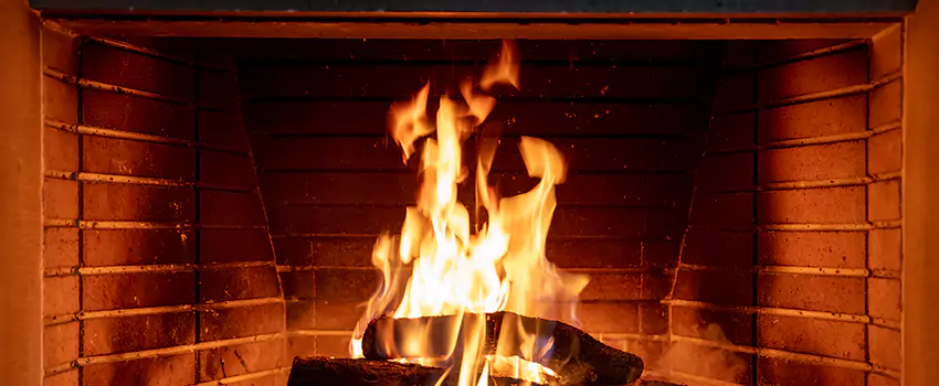 Soot Cleanup Services in Lincoln Park, MI