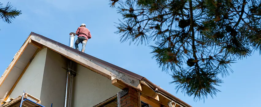 Birds Removal Contractors from Chimney in Lincoln Park, MI