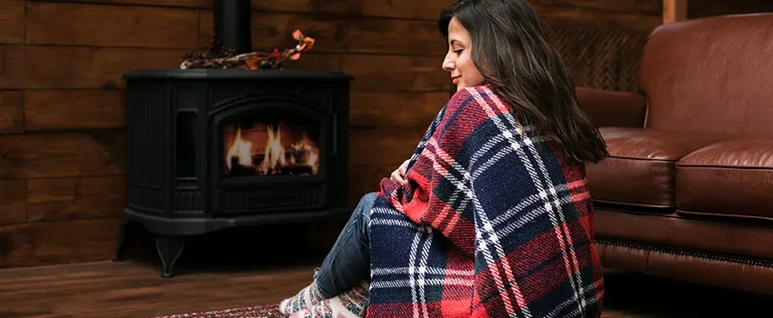 Fireplace Firebox Grate Replacement Services  in Lincoln Park, Michigan