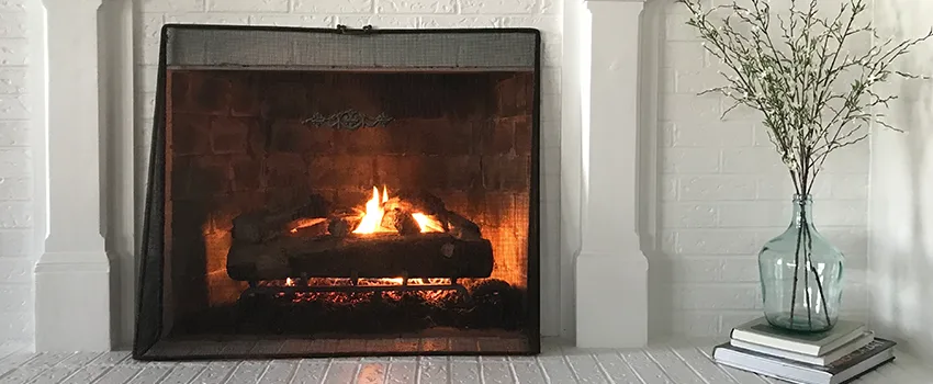 Cost-Effective Fireplace Mantel Inspection And Maintenance in Lincoln Park, MI