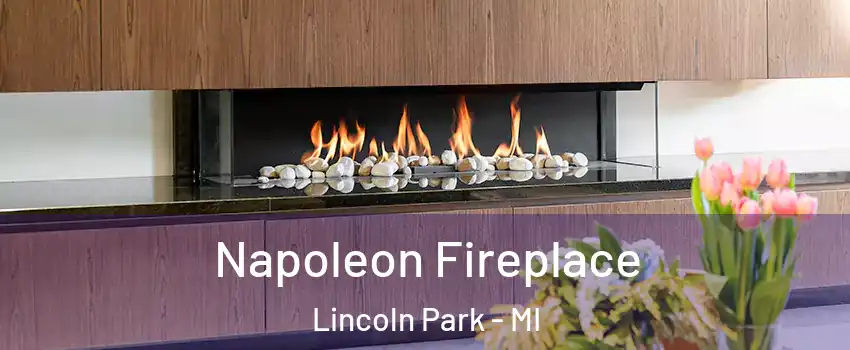  Napoleon Fireplace Lincoln Park - MI