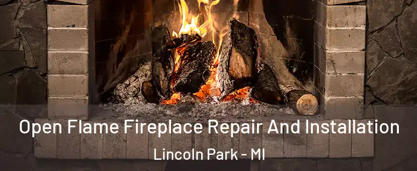  Open Flame Fireplace Repair And Installation Lincoln Park - MI