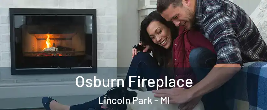  Osburn Fireplace Lincoln Park - MI