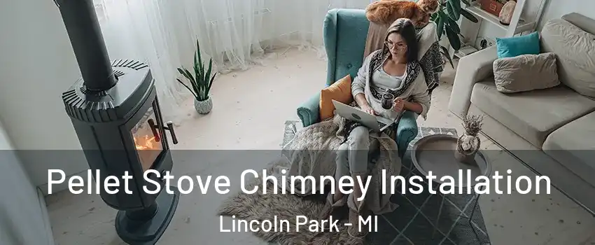  Pellet Stove Chimney Installation Lincoln Park - MI