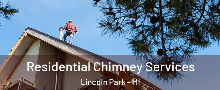  Residential Chimney Services Lincoln Park - MI
