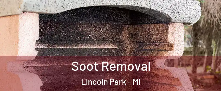  Soot Removal Lincoln Park - MI