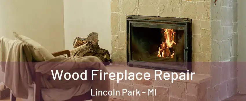  Wood Fireplace Repair Lincoln Park - MI