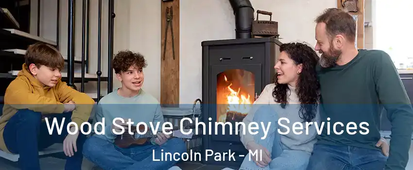  Wood Stove Chimney Services Lincoln Park - MI