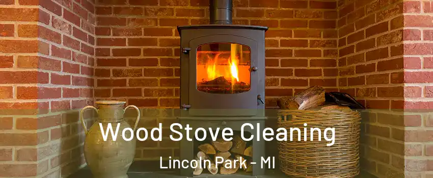  Wood Stove Cleaning Lincoln Park - MI