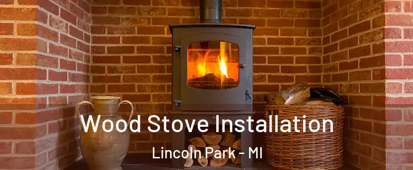  Wood Stove Installation Lincoln Park - MI